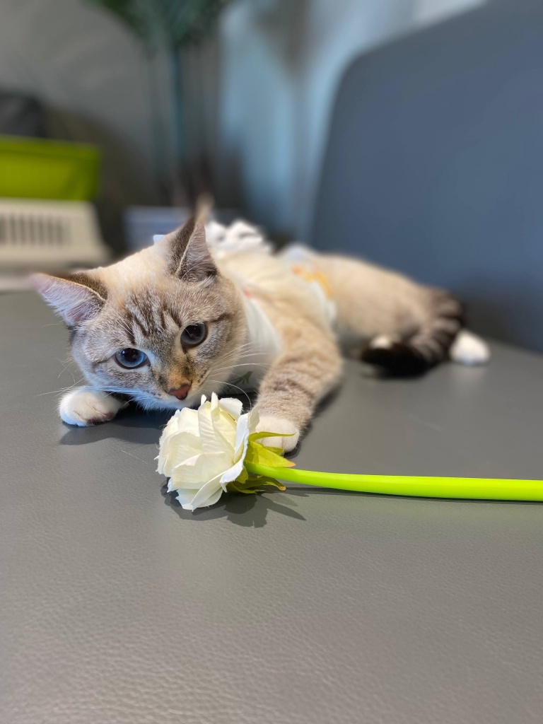 o3aZh_xRL5pM1xEGdjgCsox2-CQqYM7ooArn0zJX1Ogrl2vNPTymj2vdaPPPzDmGZsbqP8ebcLoymUjTlwuPxhBw.jpg o3aZh_xRL5pM1xEGdjgCsox2-CQqYM7ooArn0zJX1Ogrl2vNPTymj2vdaPPPzDmGZsbqP8ebcLoymUjTlwuPxhBw.jpg